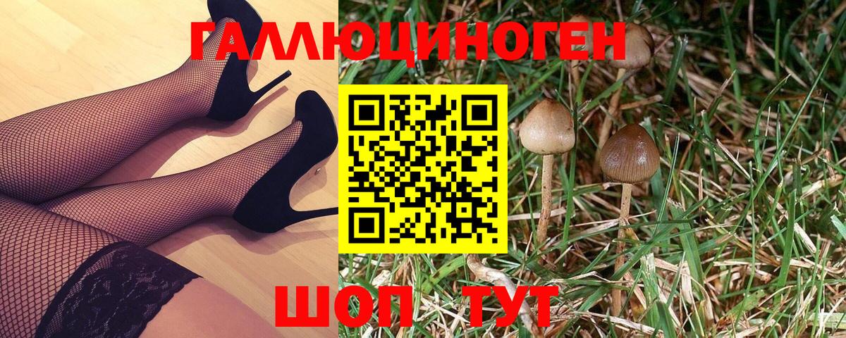 Псилоцибиновые грибы прущие грибы  Вход с VPN  Псилоцибиновые грибы Magic Shrooms  Касимов 